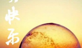 我是人间快乐在线观看,揭秘网络世界的快乐源泉