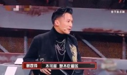 解说圈内爆料王菲谢霆锋,娱乐圈的旧爱重燃